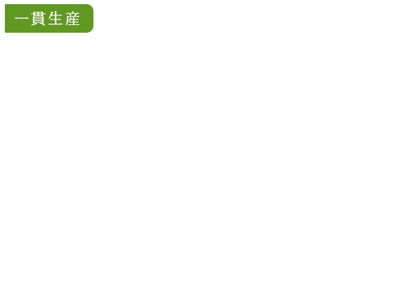 香り高く甘みがある川根茶肉厚で柔らかい椎茸