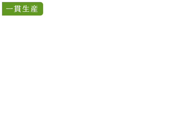 香り高く甘みがある川根茶肉厚で柔らかい椎茸